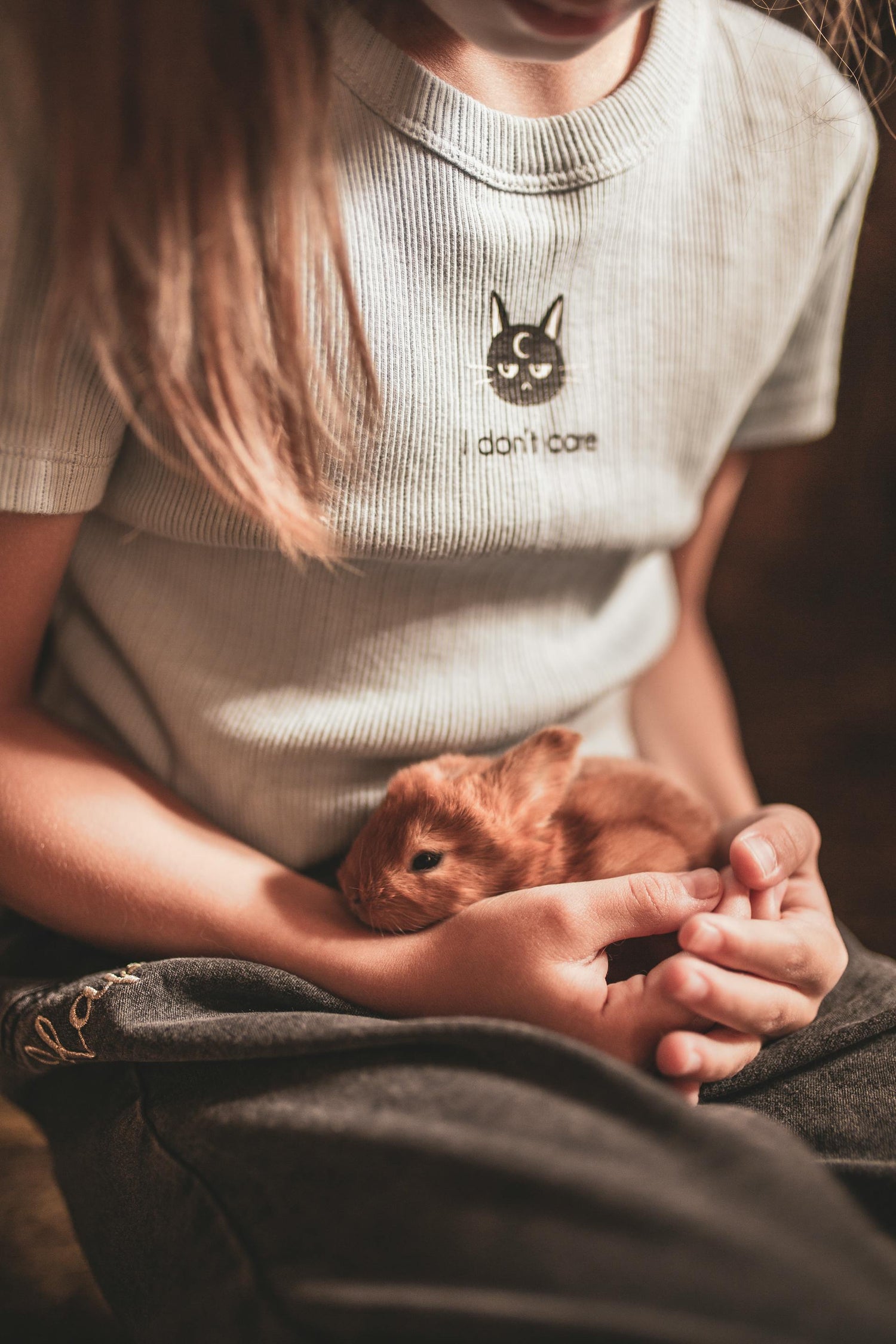 Pet Products