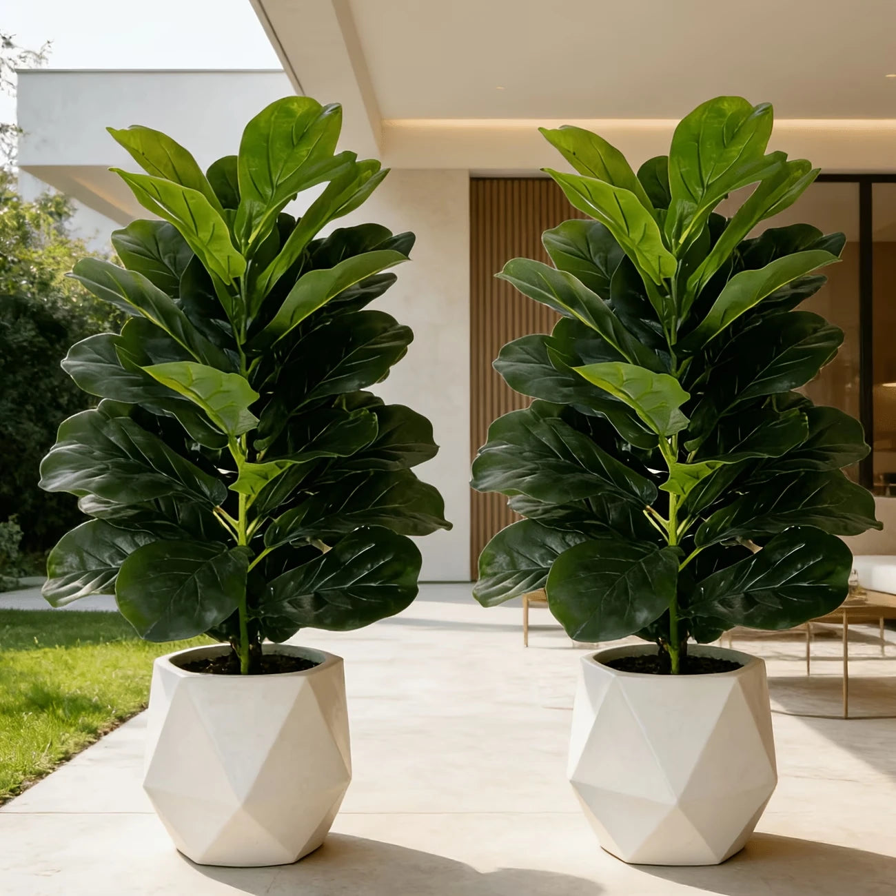 You can elevate any space with two 3-foot artificial fiddle leaf fig trees in white geometric pots.