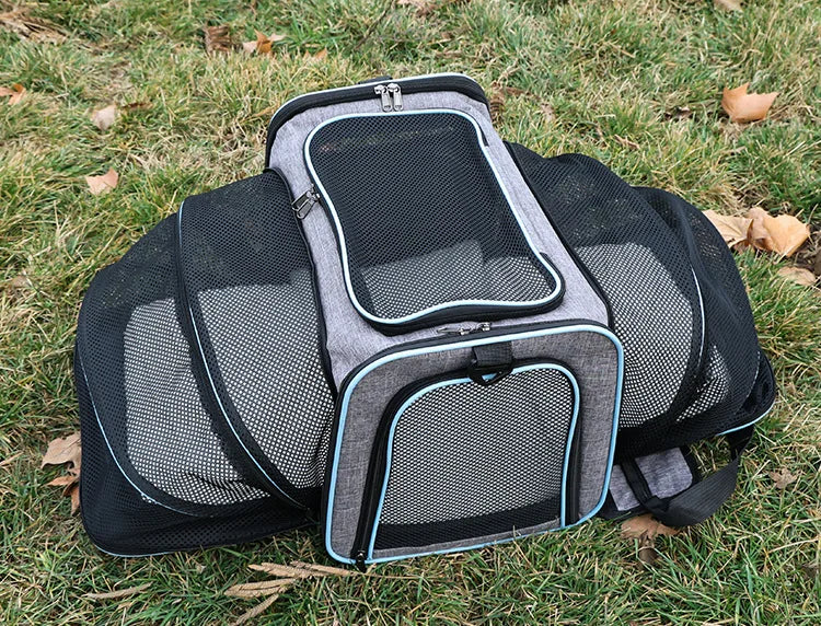 Foldable Pet Carrier Bag for Small Dogs and Cats Mesh