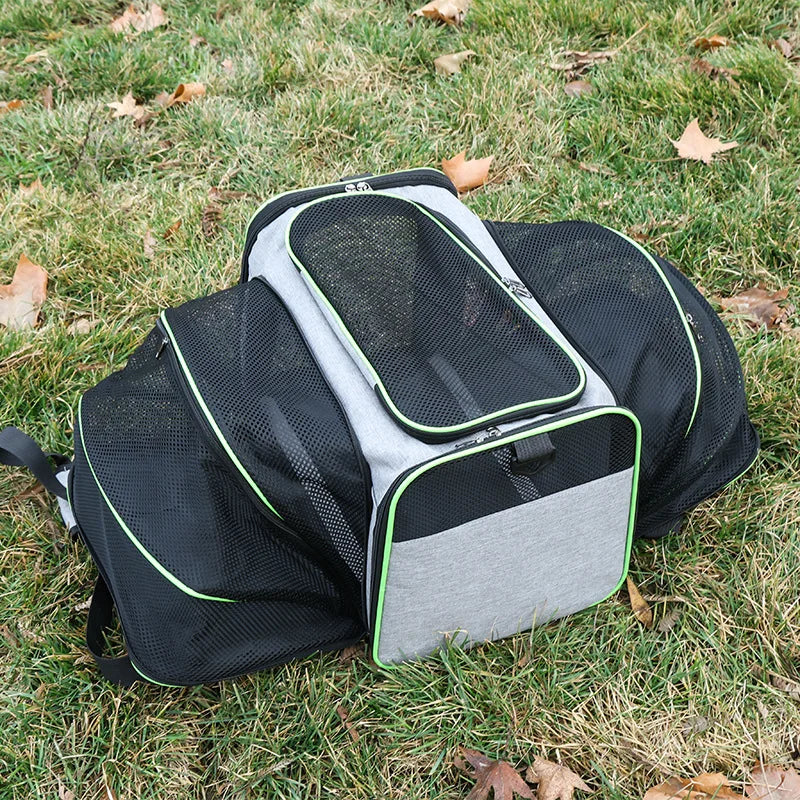 Foldable Pet Carrier Bag for Small Dogs and Cats Mesh