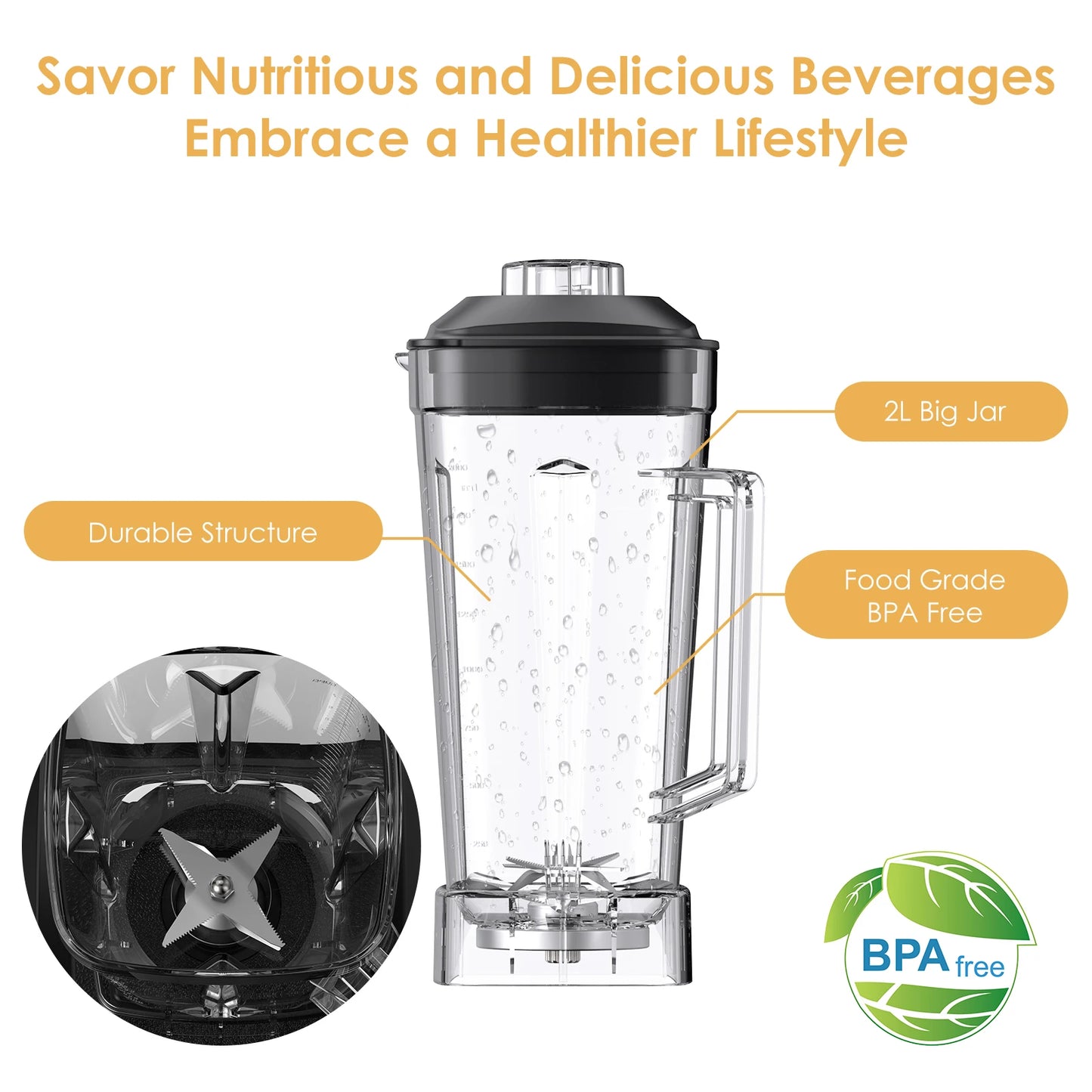 Biolomix 2200W Heavy Duty Commercial Blender Mixer Juicer