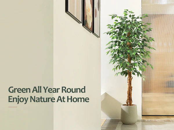 KAZEILA Silk Ficus Tree With Curved Trunk For Office Decor