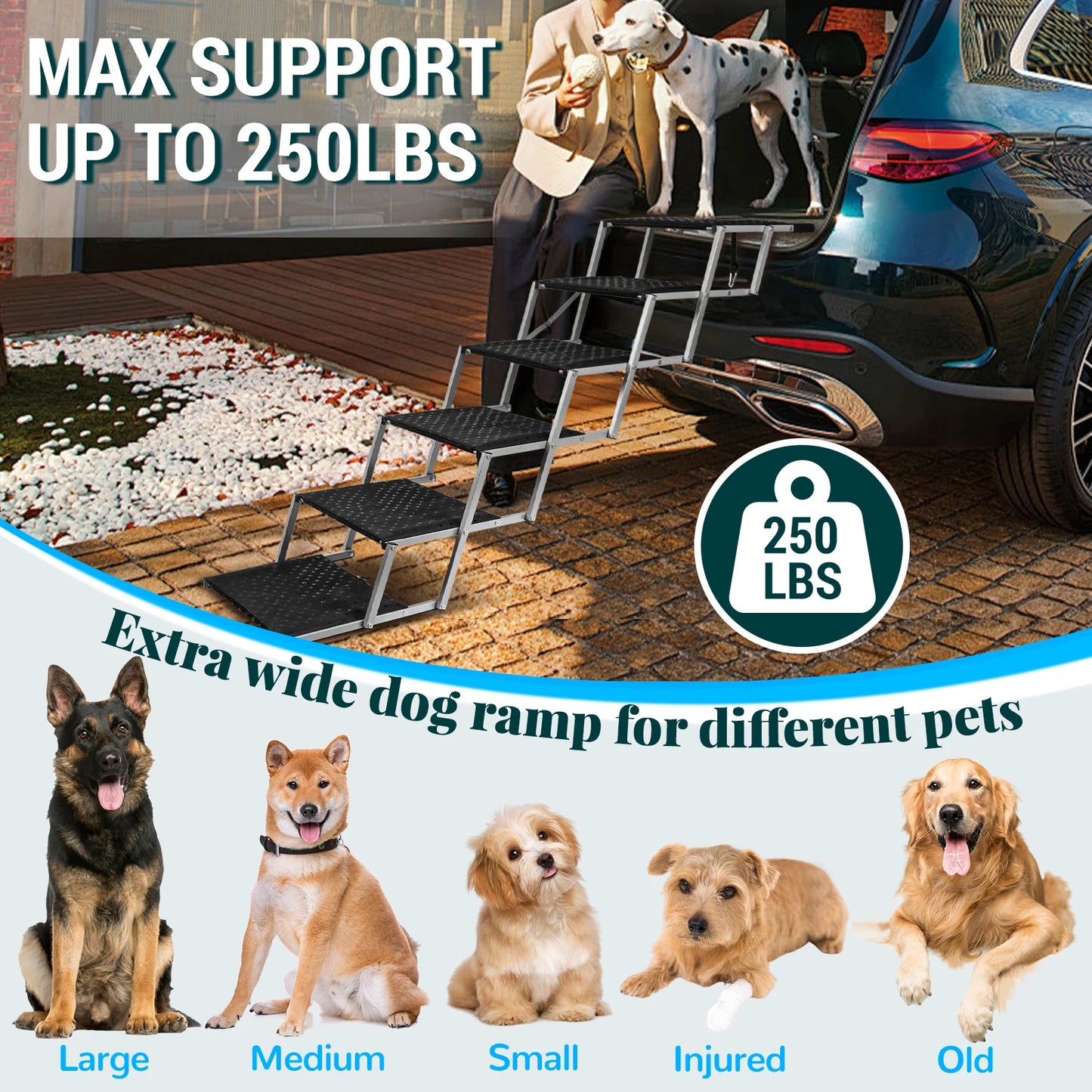 Adjustable Foldable Dog Stairs For Medium And Large Breeds Safe Easy Car Entry For Your Dog