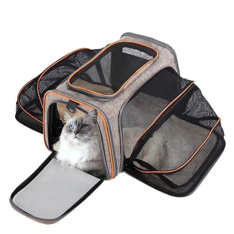 Foldable Pet Carrier Bag for Small Dogs and Cats Mesh