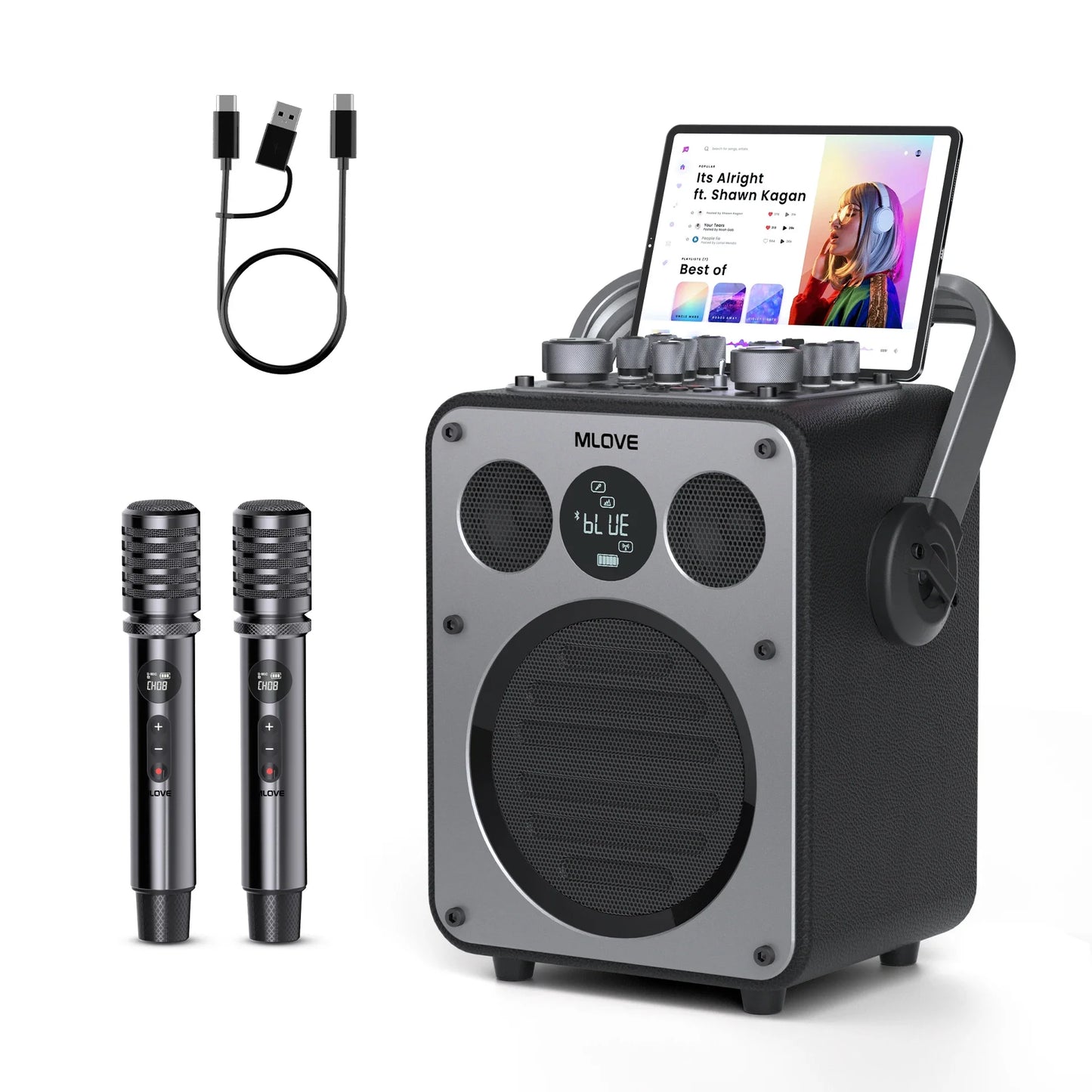 MLOVE D5 Karaoke Machine Bluetooth PA System 2 Wireless Microphones