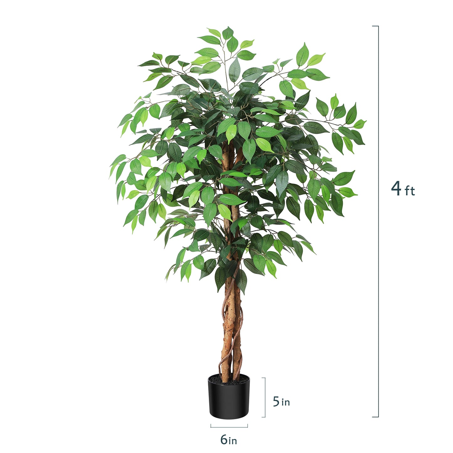 KAZEILA Silk Ficus Tree With Curved Trunk For Office Decor