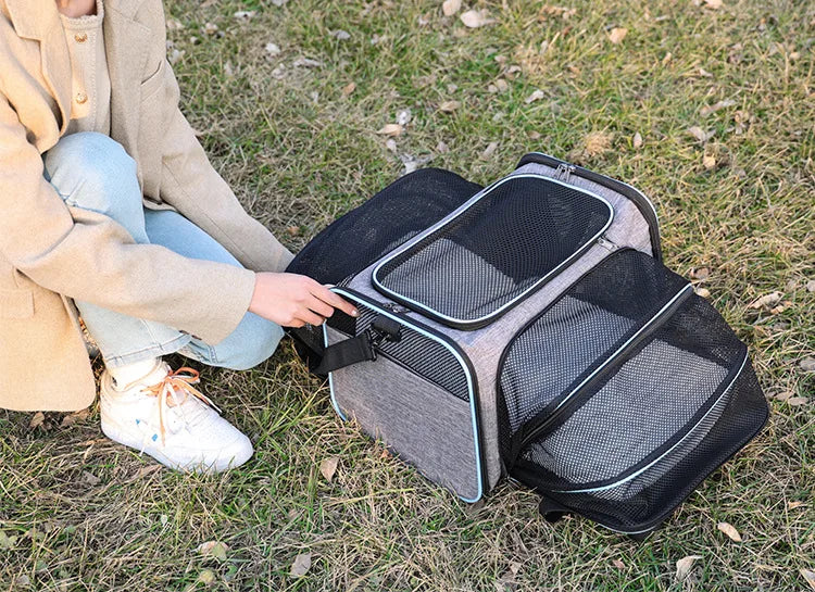 Foldable Pet Carrier Bag for Small Dogs and Cats Mesh