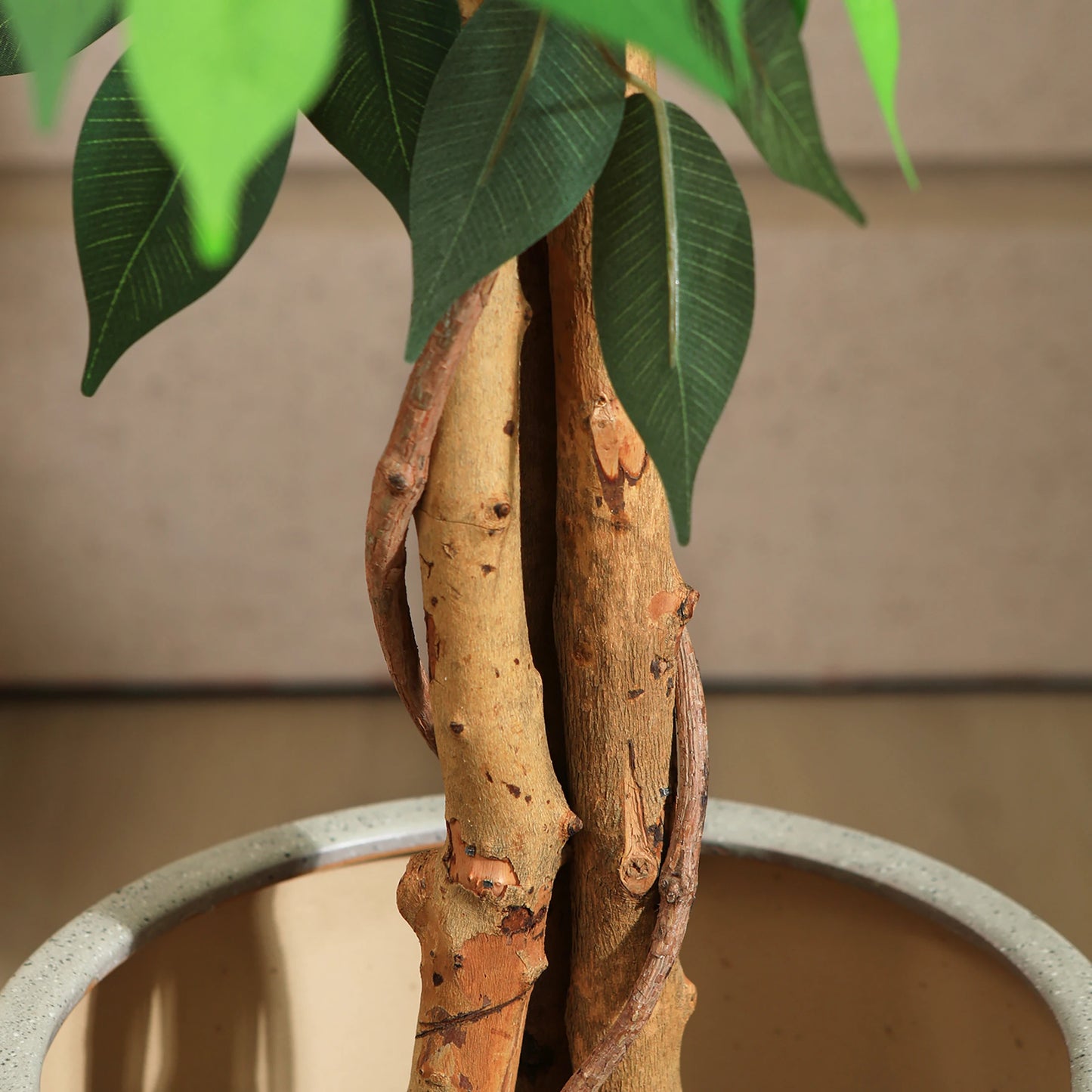 KAZEILA Silk Ficus Tree With Curved Trunk For Office Decor