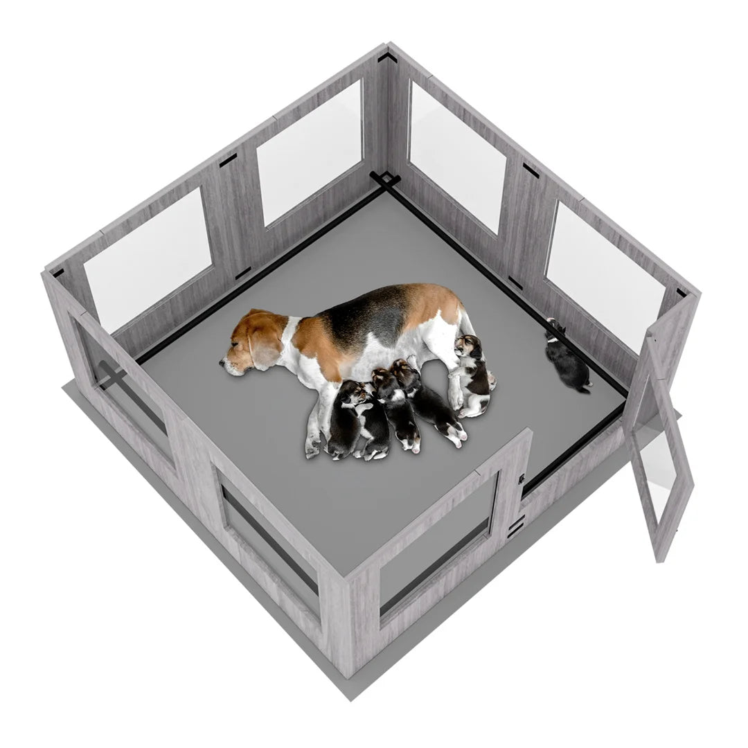 Bingopaw Detachable Tempered Glass Dog Playpen Whelping Box Protective Rails