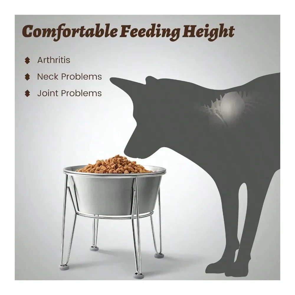 Elevate mealtime with a stylish raised feeder that keeps your dog comfortable and supports easier digestion.