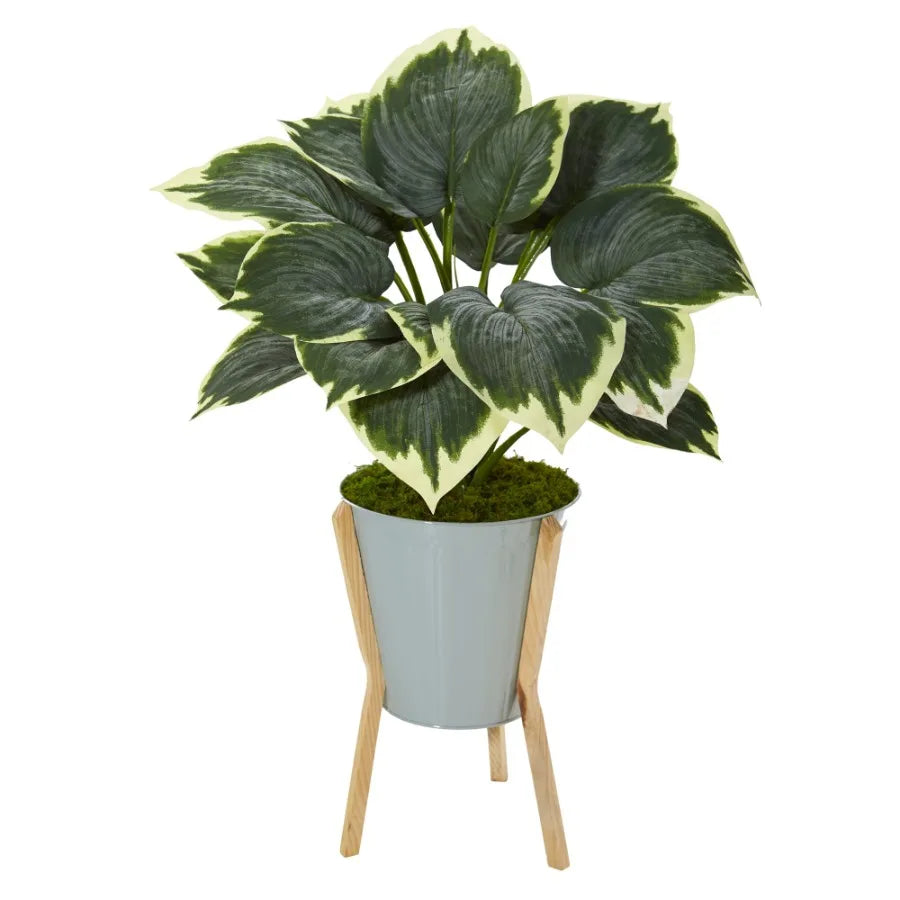Variegated Hosta Artificial Plant In Planter With Stand