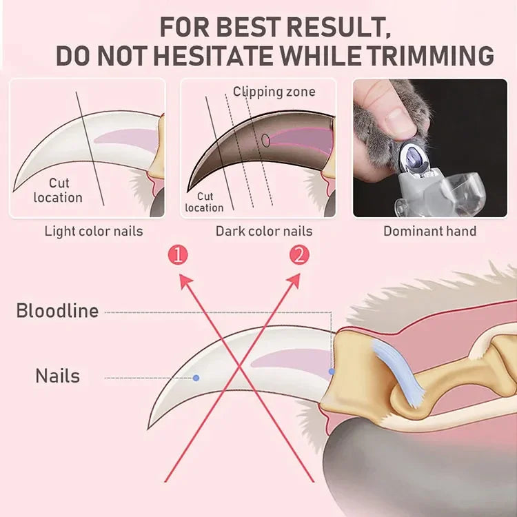 LED Light Pet Nail Clipper With Amplification Function For Dogs And Cats
