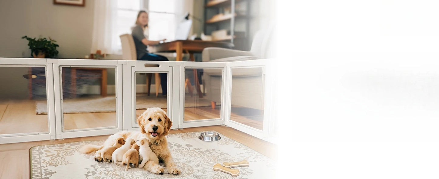 Heavy-Duty Acrylic Indoor Dog Playpen for Puppies and Small Dogs