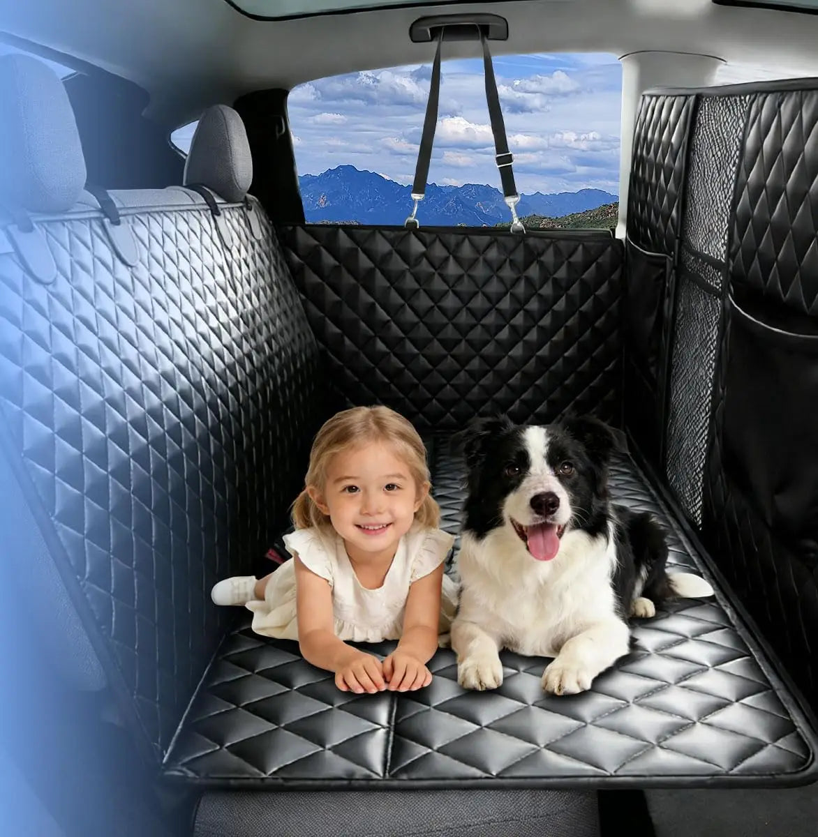 Dog Car Seat Cover With Hard Bottom Mesh Window Waterproof