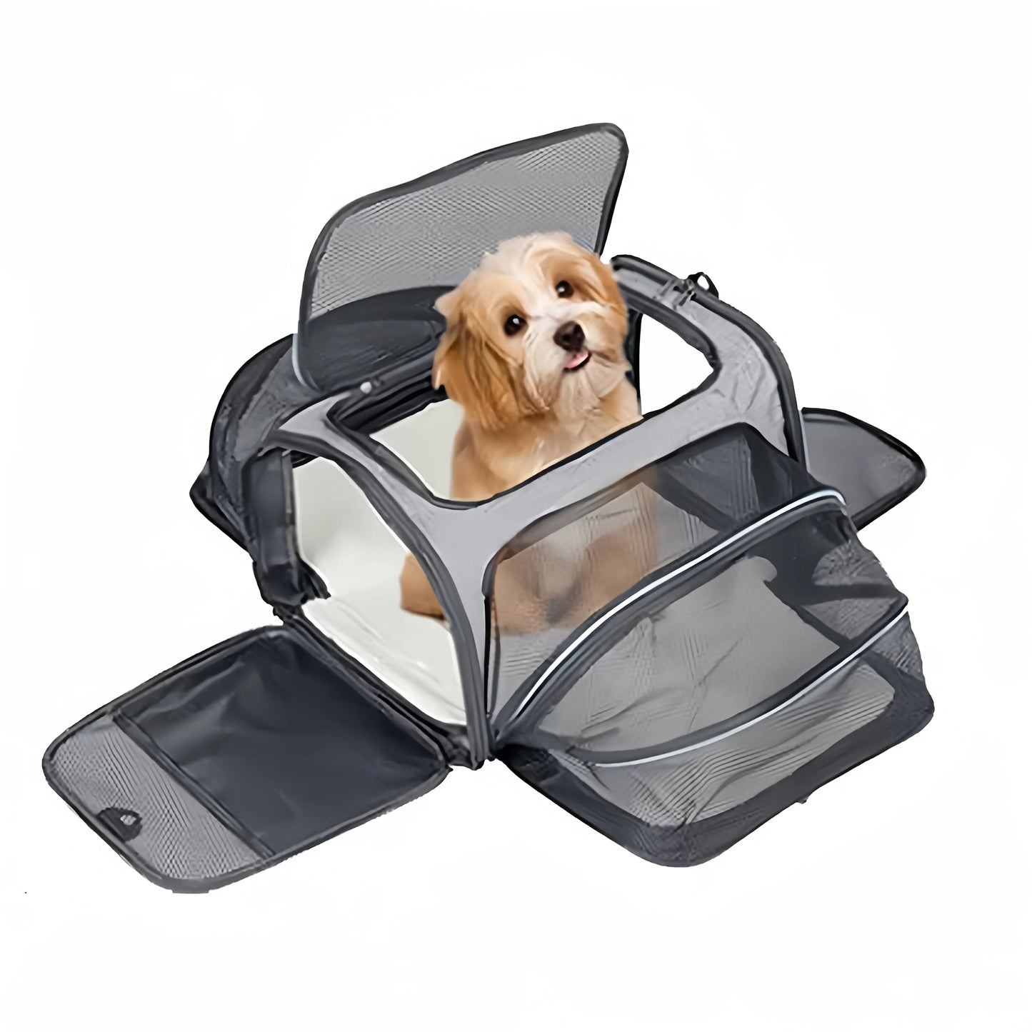 Foldable Pet Carrier Bag for Small Dogs and Cats Mesh